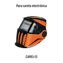 REP-CAREL-13+D1.jpg