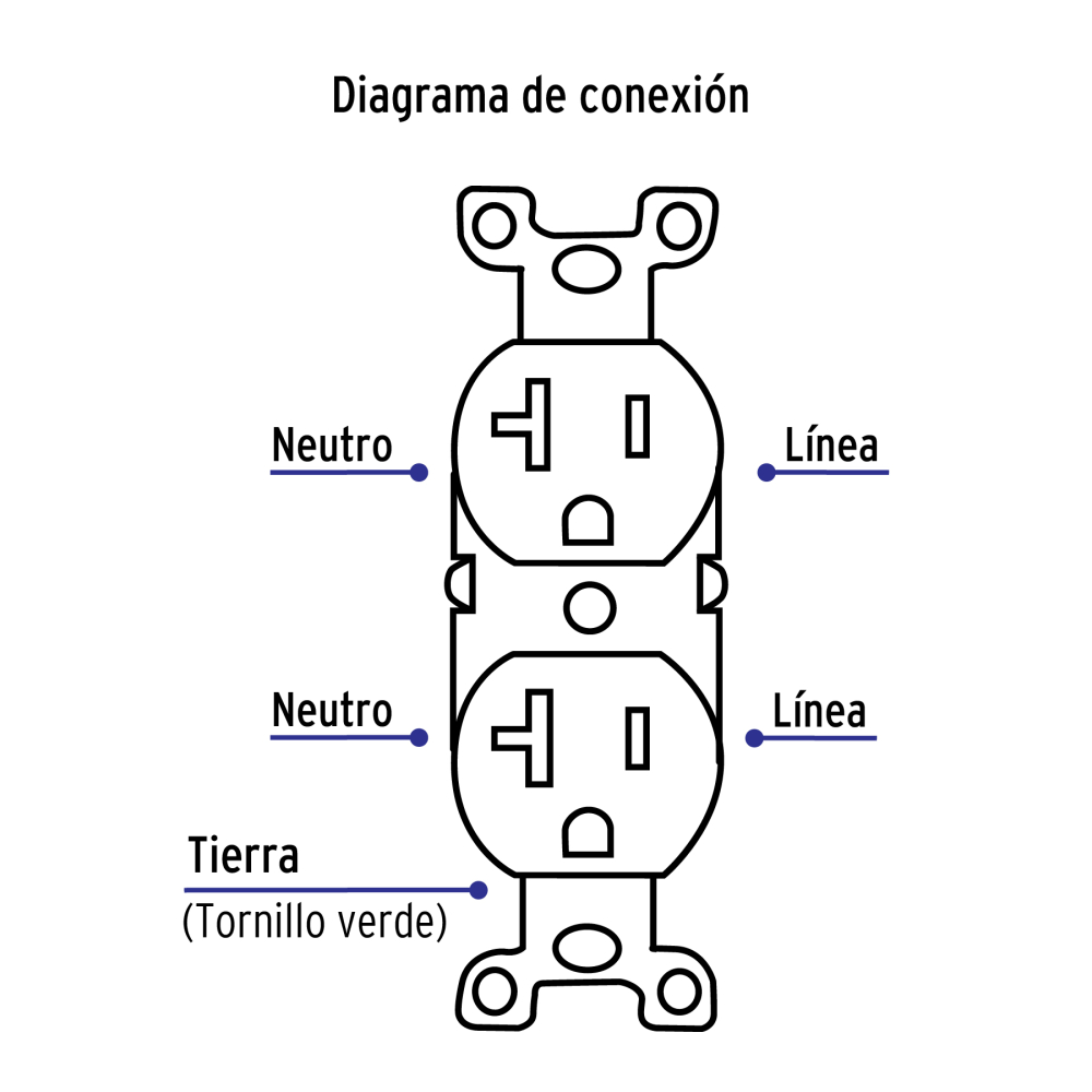 CODO-MS+FC3.jpg