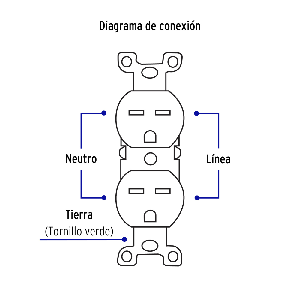 CODO-CHSB+FC3.jpg