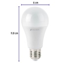 LED-100C+FC2.jpg