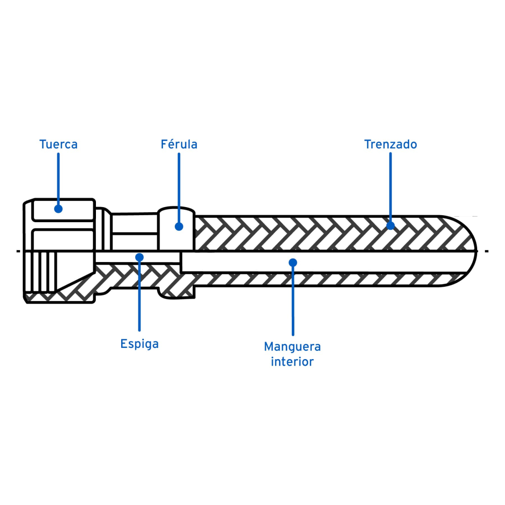 MGAN-50+D2.jpg