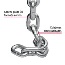 CAGA-1-2+FC1.jpg
