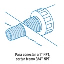 ATIN-003+FC1.jpg
