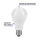 LED-125FX4+FC1.jpg