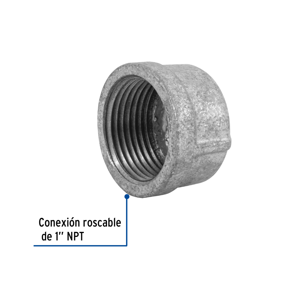 CG-303+FC1.jpg