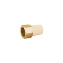 Adaptador hembra de CPVC 1' con inserto y tuerca de latón CPVC-643