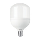 Foco LED alta potencia 60W (650W) 6500K blanca fría, E39 LED-650