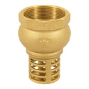 Pichancha con rejilla de latón 2', FOSET PICHA-2