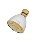 Regadera cónica 2-1/2', metálica, sin brazo, cromo-oro, AQUA R-509SG