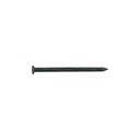 Kilo de clavos para concreto 2-1/2' negros, caja de 25 kg CLCG-2-1/2N