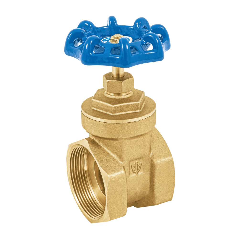 Válvula de compuerta de latón roscable de 2', FOSET CORO-2