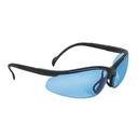 Lentes de seguridad panorámicos azules, TRUPER VISION LEDE-SZ