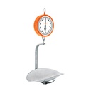 Báscula capacidad 10 kg mecánica colgante, Truper BAS-10C