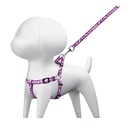 Correa con pechera para perro, 1 cm ancho, FIERO COPE-10