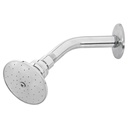 Regadera redonda 3', metálica, brazo y chapetón, cromo, AQUA R-502