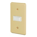 Placa armada con interruptor sencillo, línea Económica PA-APSE-E