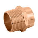 Conector de cobre, rosca exterior 1', FOSET CC-613