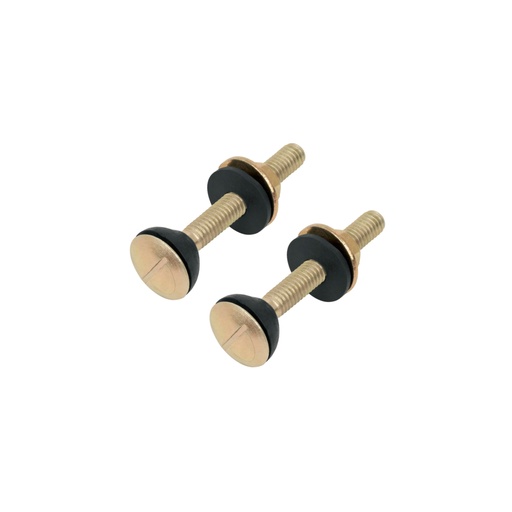 [49331] Bolsa con 2 tornillos 5/16' x 70 mm para tanque de WC a base TOR-WC