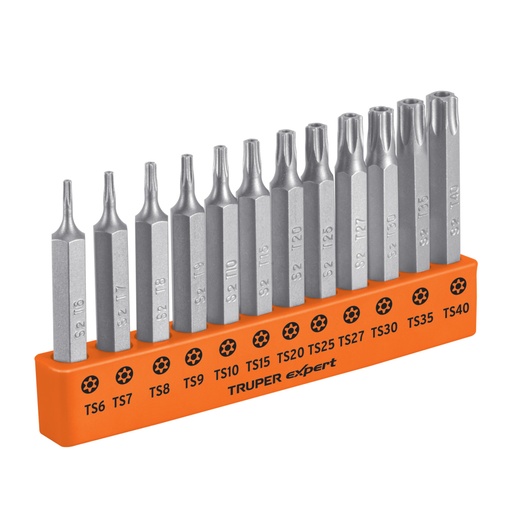 [101675] Juego de 12 puntas torx combinadas c/seguro largo 2', EXPERT P12-2TS