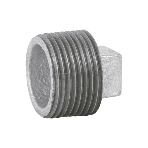 [47496] Tapón macho 1' de acero galvanizado, FOSET CG-313